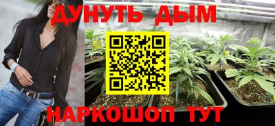 стаф Янаул