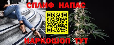 гидропоника Ярославль