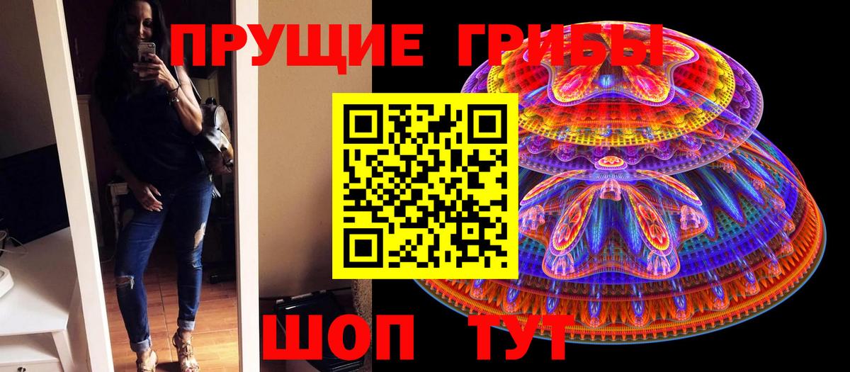 Галлюциногенные грибы Psilocybine cubensis Сатка